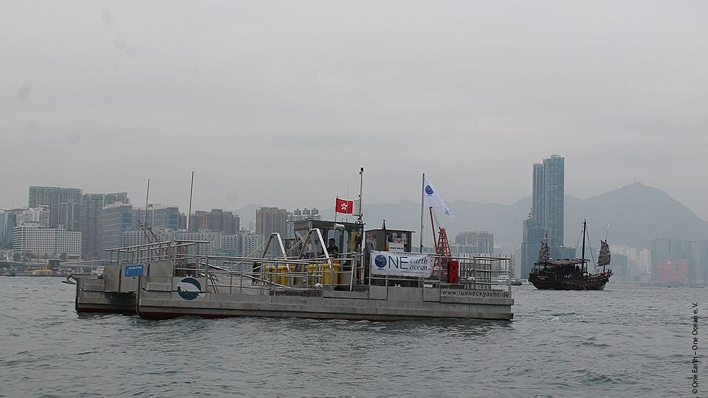 Как морская корова собирает пластиковые отходы