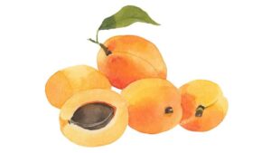 Apricot kernel oil