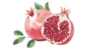 Экстракт кожуры граната